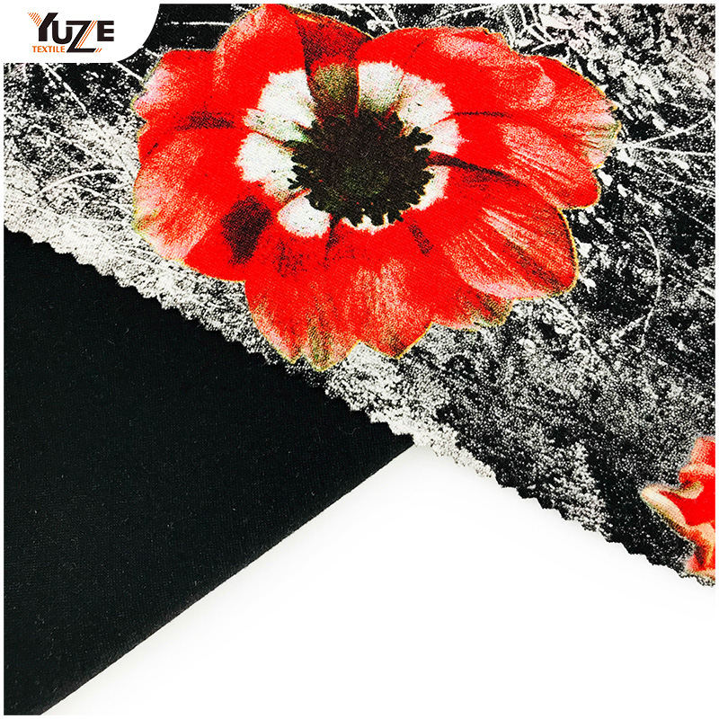 YZS19-620 T/R Roma Druck